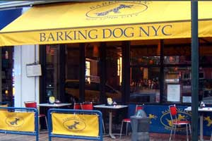 pet friendly restaurants in new york