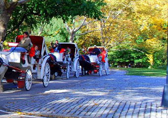 central park carriage ride