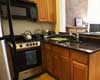 pet friendly vacation home for rent in new york city manhattan
